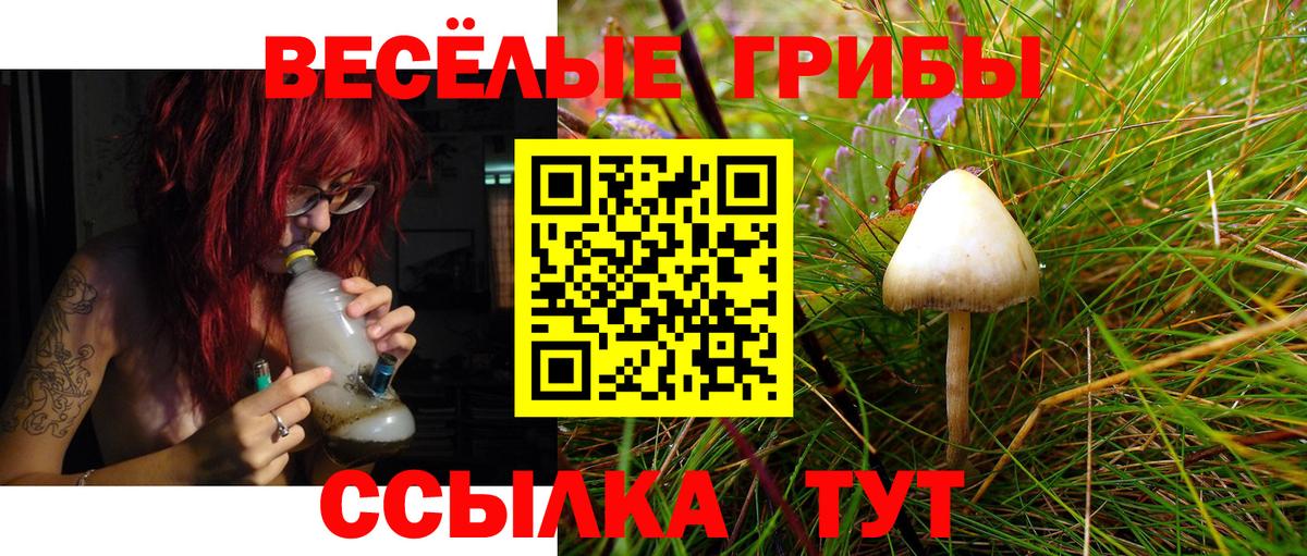 Галлюциногенные грибы Cubensis  Вход с VPN  Энгельс 