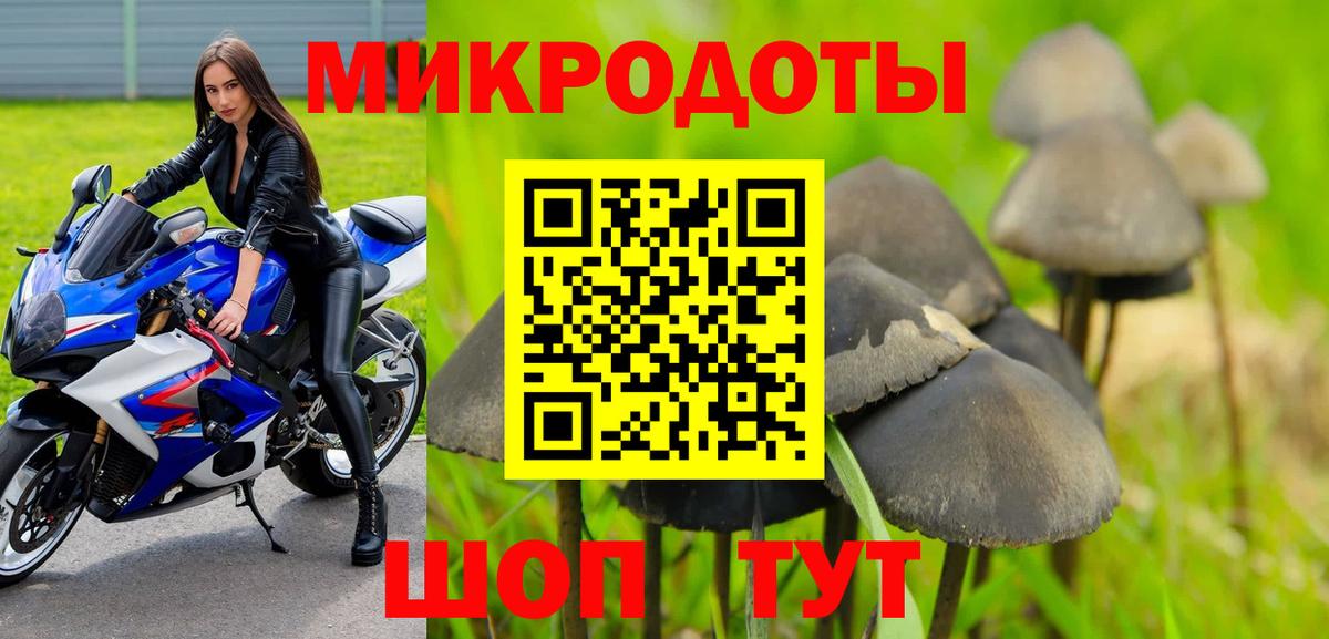 Галлюциногенные грибы Cubensis Энгельс